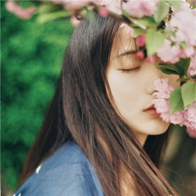 热带沙漠四驱车